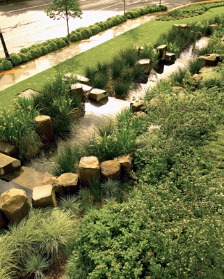 Rain Garden Oregon Convention Center