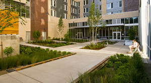 university point psu