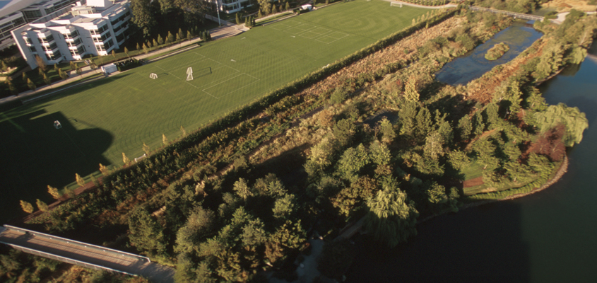 Nike World Headquarters - Mayer/Reed