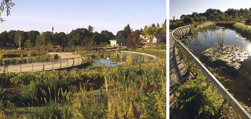 The Oregon Garden A Mazing Water Garden Mayer Reed