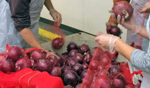 oregonfoodbank