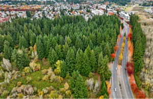 Aerial photo of the 14-acre forested plot that will be the future home of a new community park in Vancouver, Washington