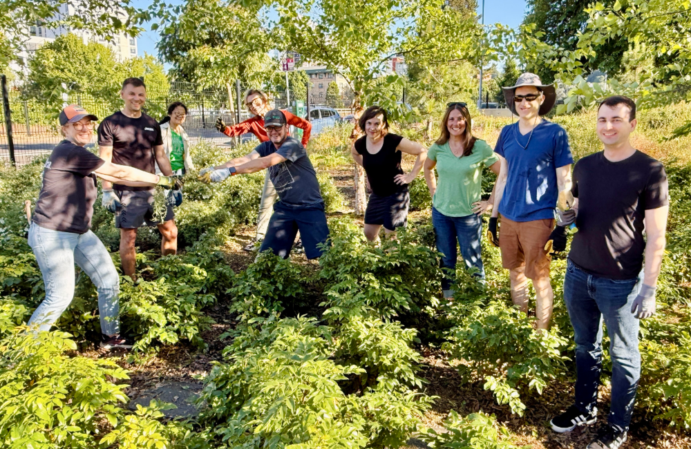 A group of Mayer/Reed volunteers posing in the cleaned up landscape at Lincoln High School